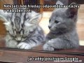 nekteri-lide-hledaji-hlaska_973_945730516_13.jpg